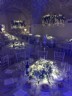 apri l'immagine in popup