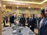 apri l'immagine in popup