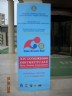 apri l'immagine in popup