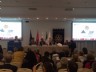 apri l'immagine in popup